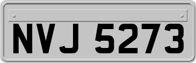 NVJ5273