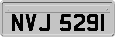 NVJ5291