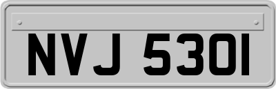 NVJ5301