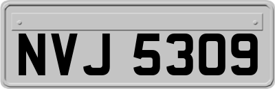 NVJ5309