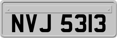 NVJ5313