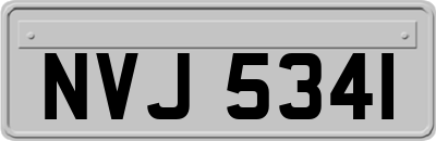 NVJ5341