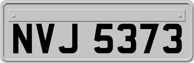 NVJ5373
