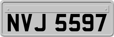 NVJ5597