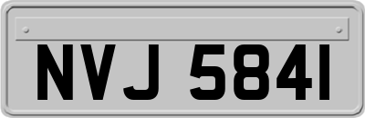 NVJ5841