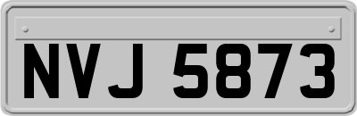 NVJ5873