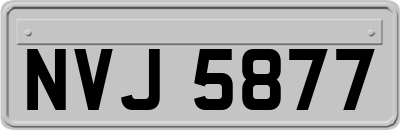 NVJ5877