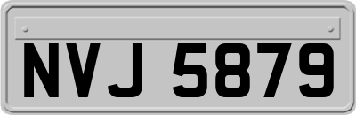 NVJ5879
