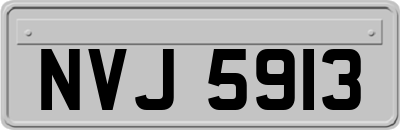 NVJ5913