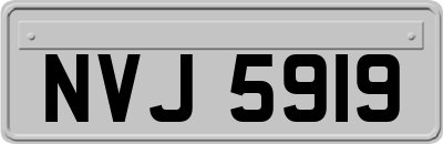 NVJ5919