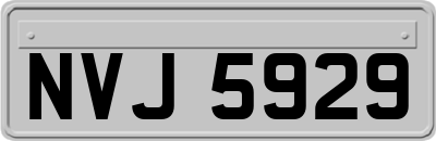 NVJ5929