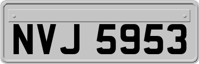 NVJ5953