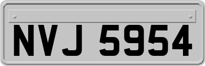 NVJ5954