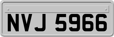 NVJ5966