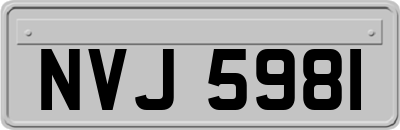 NVJ5981