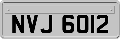 NVJ6012