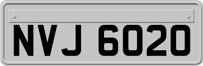 NVJ6020