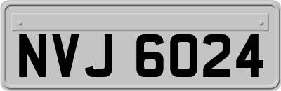 NVJ6024