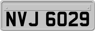 NVJ6029
