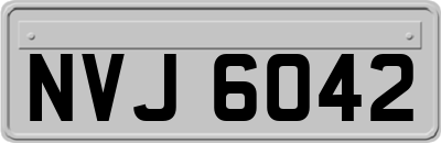 NVJ6042