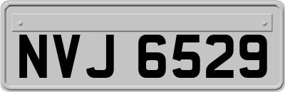 NVJ6529