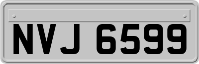 NVJ6599