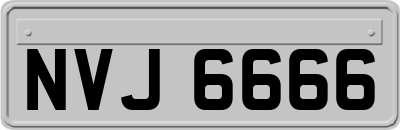 NVJ6666