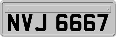 NVJ6667