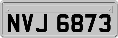 NVJ6873