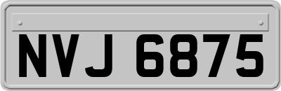 NVJ6875