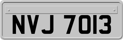 NVJ7013