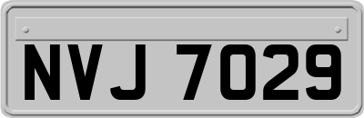 NVJ7029