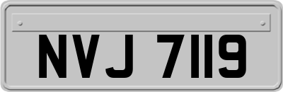 NVJ7119