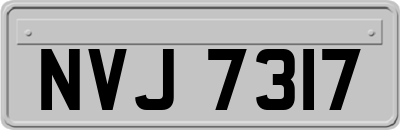 NVJ7317