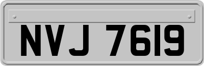 NVJ7619
