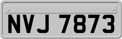 NVJ7873