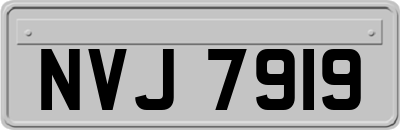 NVJ7919