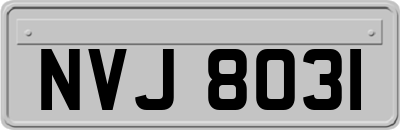 NVJ8031