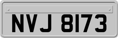 NVJ8173