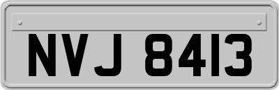 NVJ8413