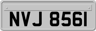 NVJ8561