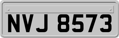 NVJ8573