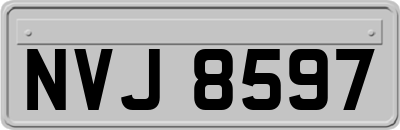NVJ8597