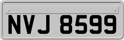NVJ8599