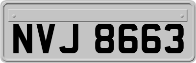 NVJ8663
