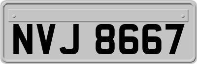 NVJ8667