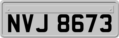 NVJ8673