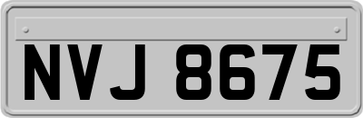 NVJ8675