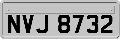 NVJ8732
