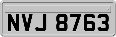 NVJ8763